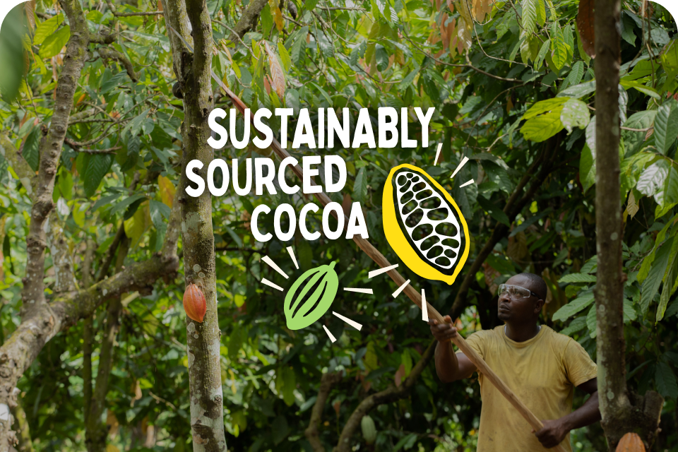 sustainably sourced cocoa